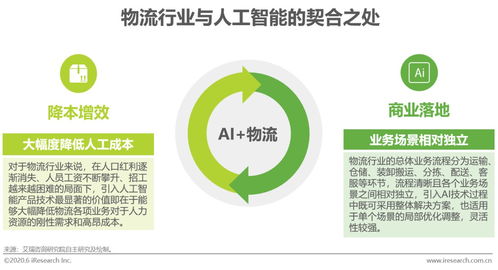 2020年中國人工智能物流發展研究報告 人工智能應用軟件開發